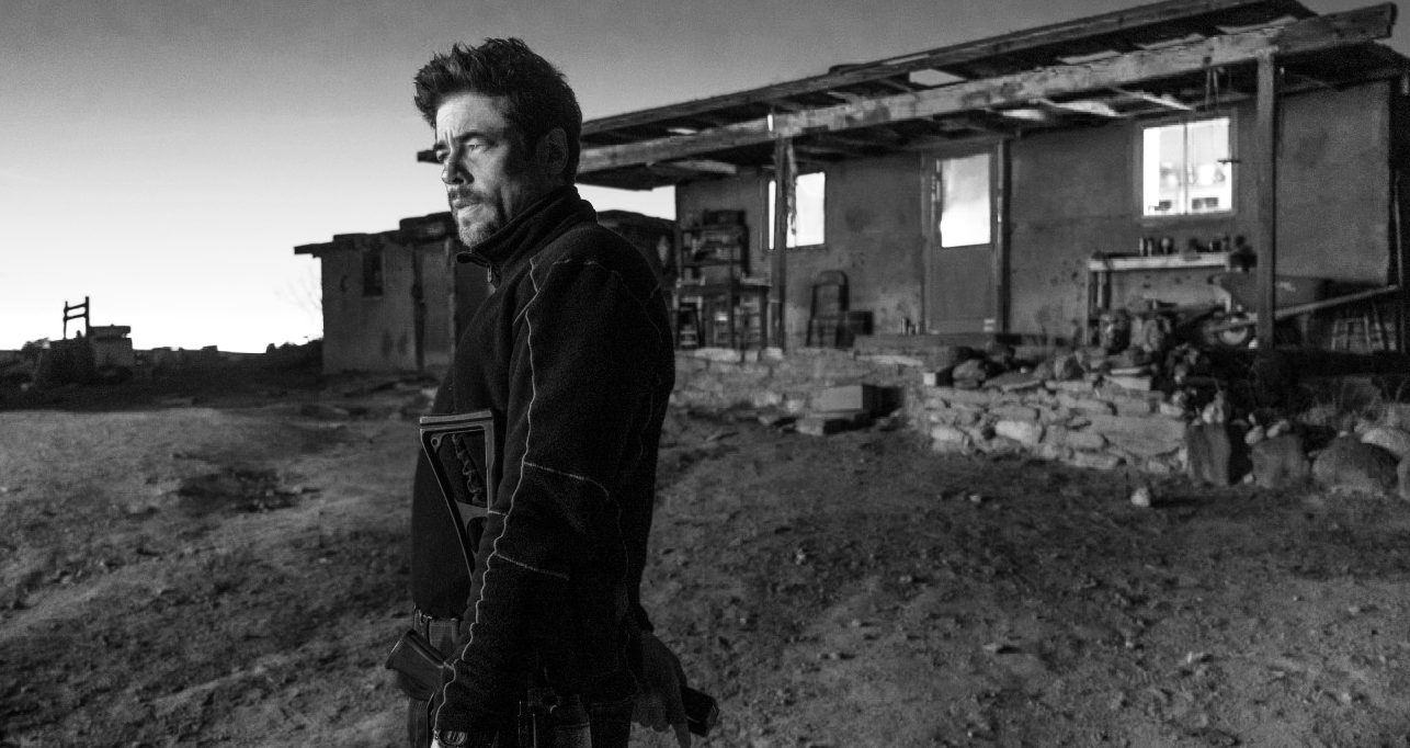 Benicio Del Toro